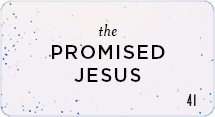 The Promised Jesus