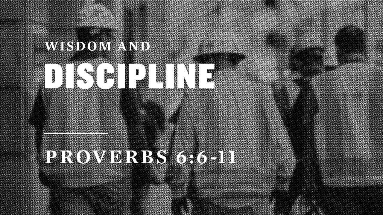 Wisdom and Discipline